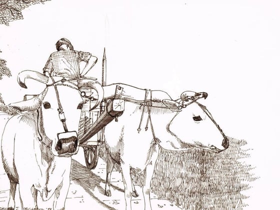 Tuscany's 'mezzadria', what the Chianti owes to sharecropping