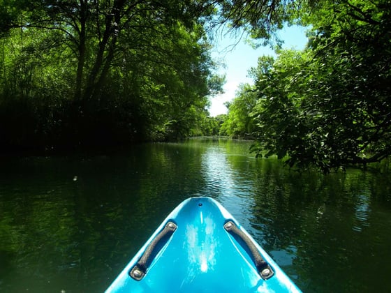 Adventurous things to do with kids in Provence