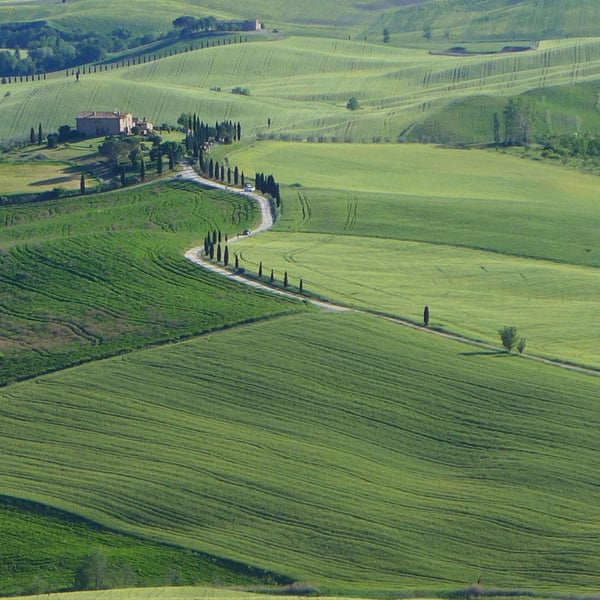 The rolling hills of Val d'Orcia are to the south, following the Via Francigena