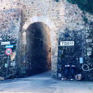 Torri entrance