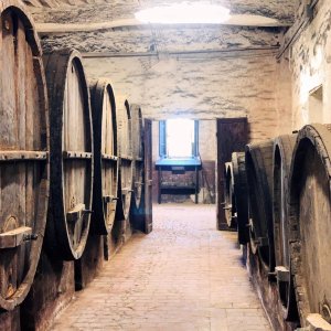 Torri wine cellars