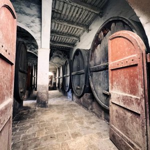 Torri wine cellars