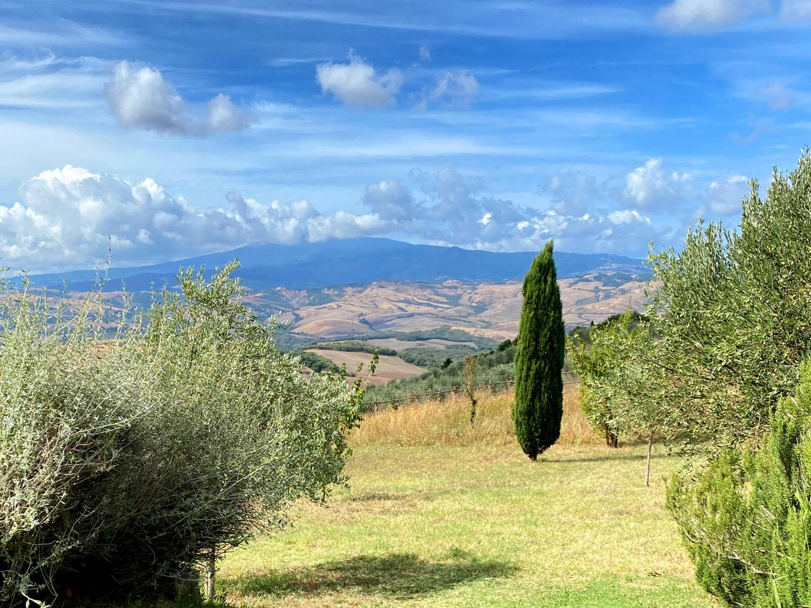 Private Handpicked Villas in Tuscany and Beyond