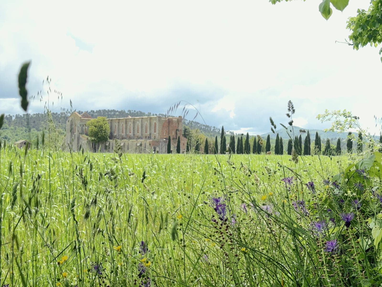 The ruins of the Abbey in Tuscany