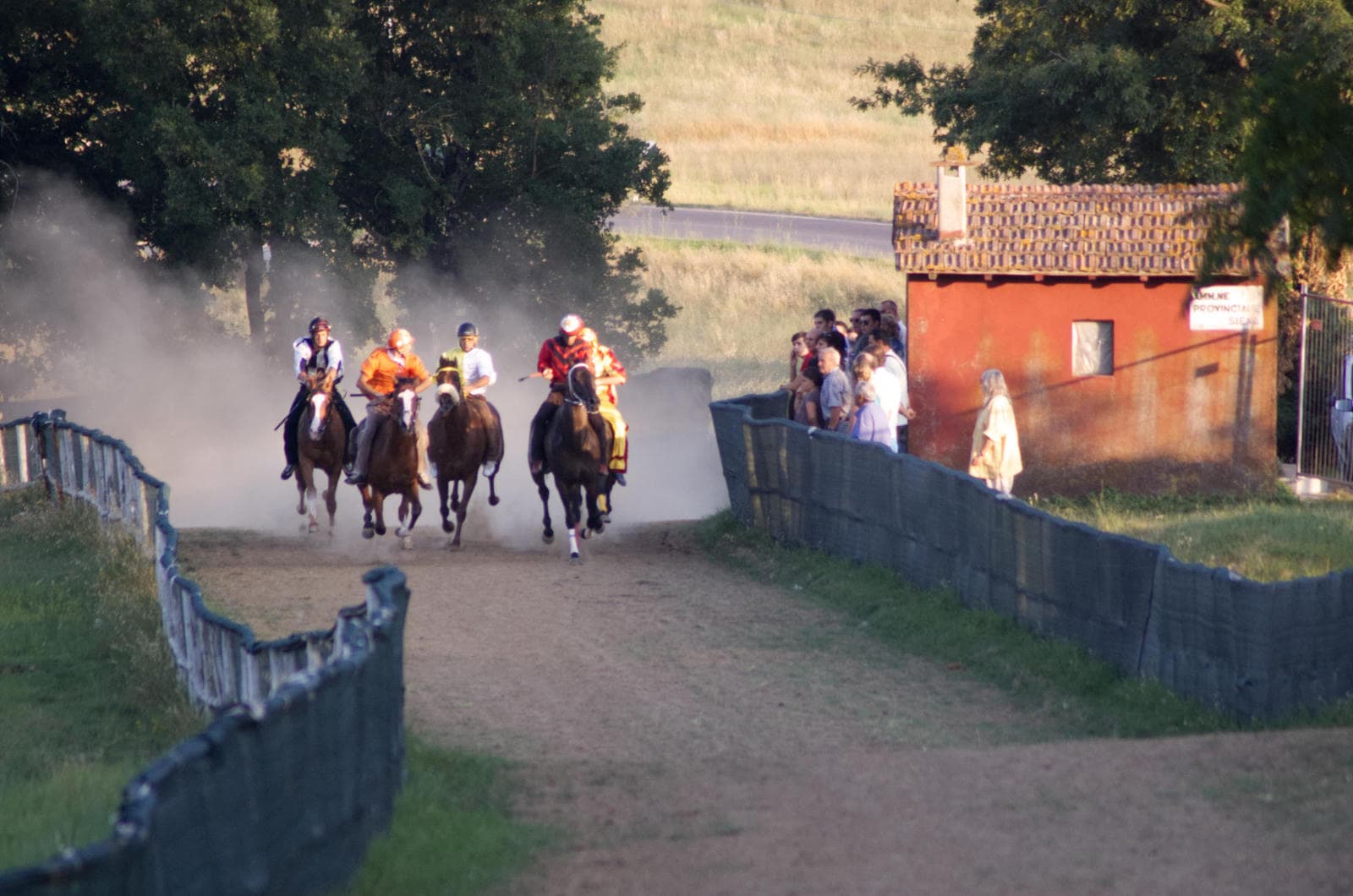 palio-casole-race