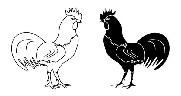 black-and-white-outline