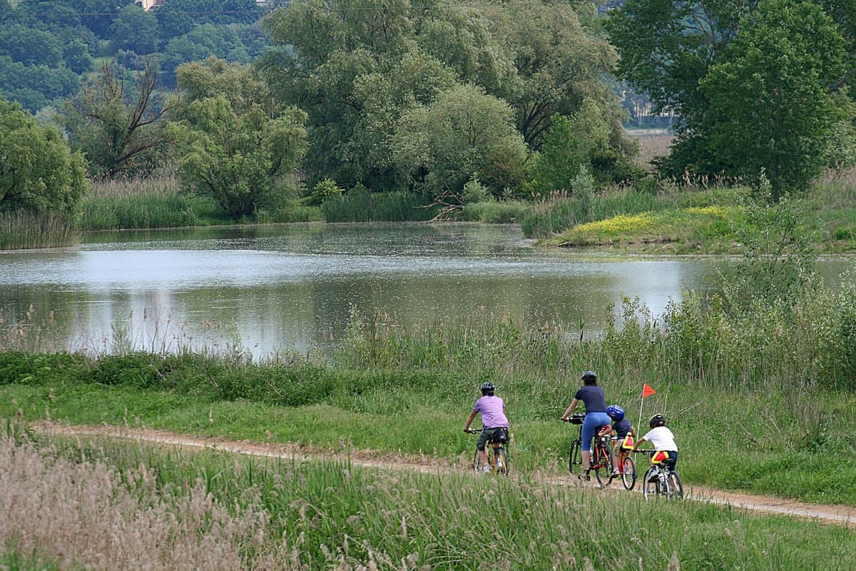 bici-sentiero-bonifica