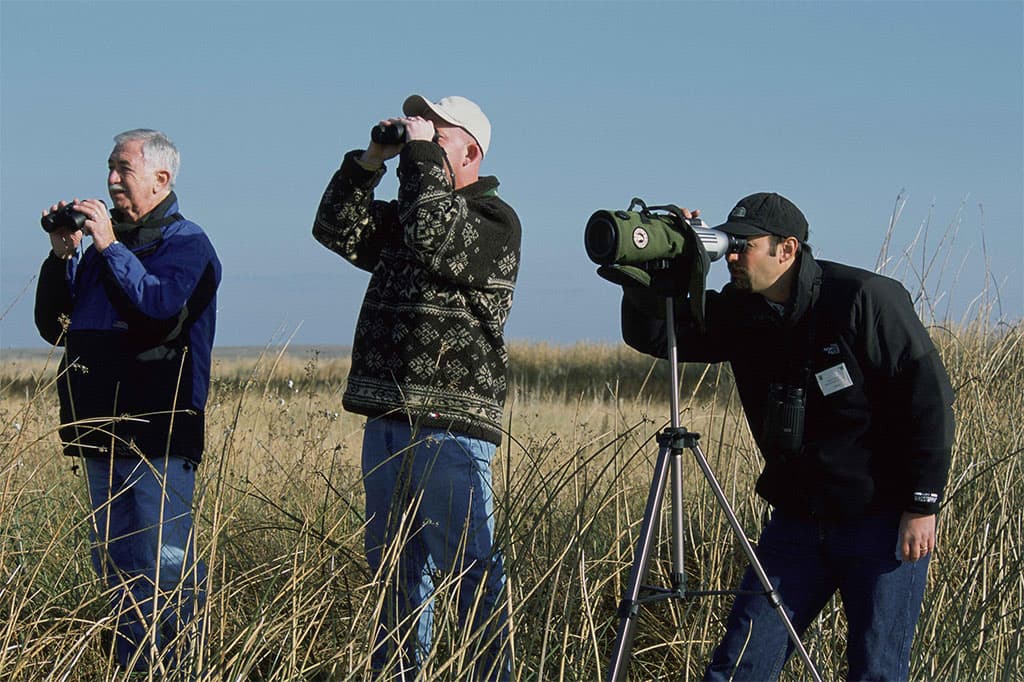 birdwatching-buriano