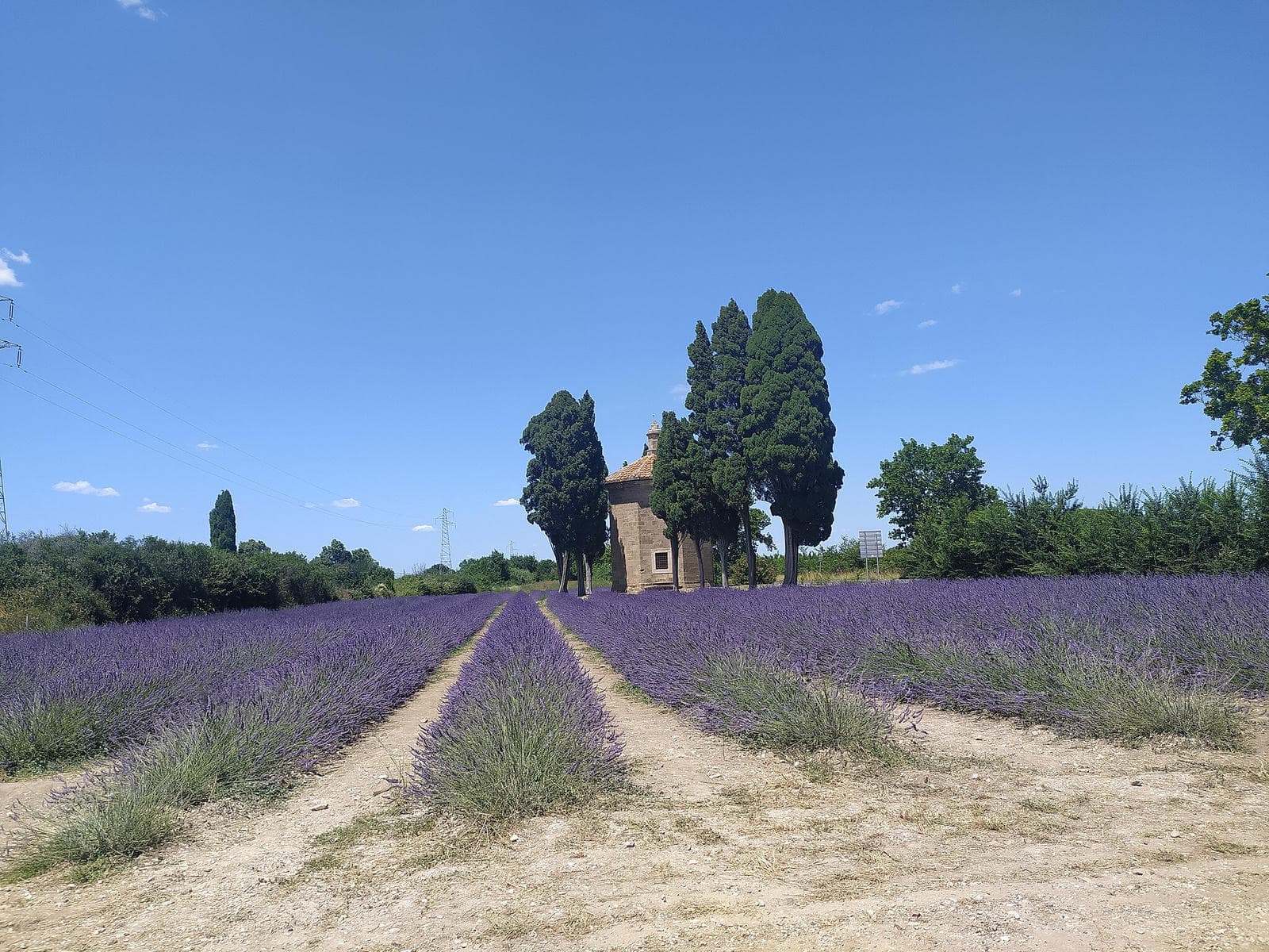 San_Guido_in_Lavanda