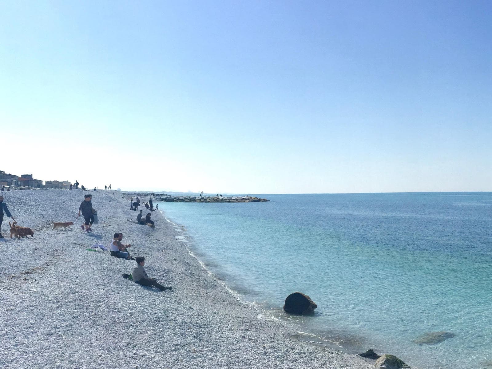 Where to eat around Livorno