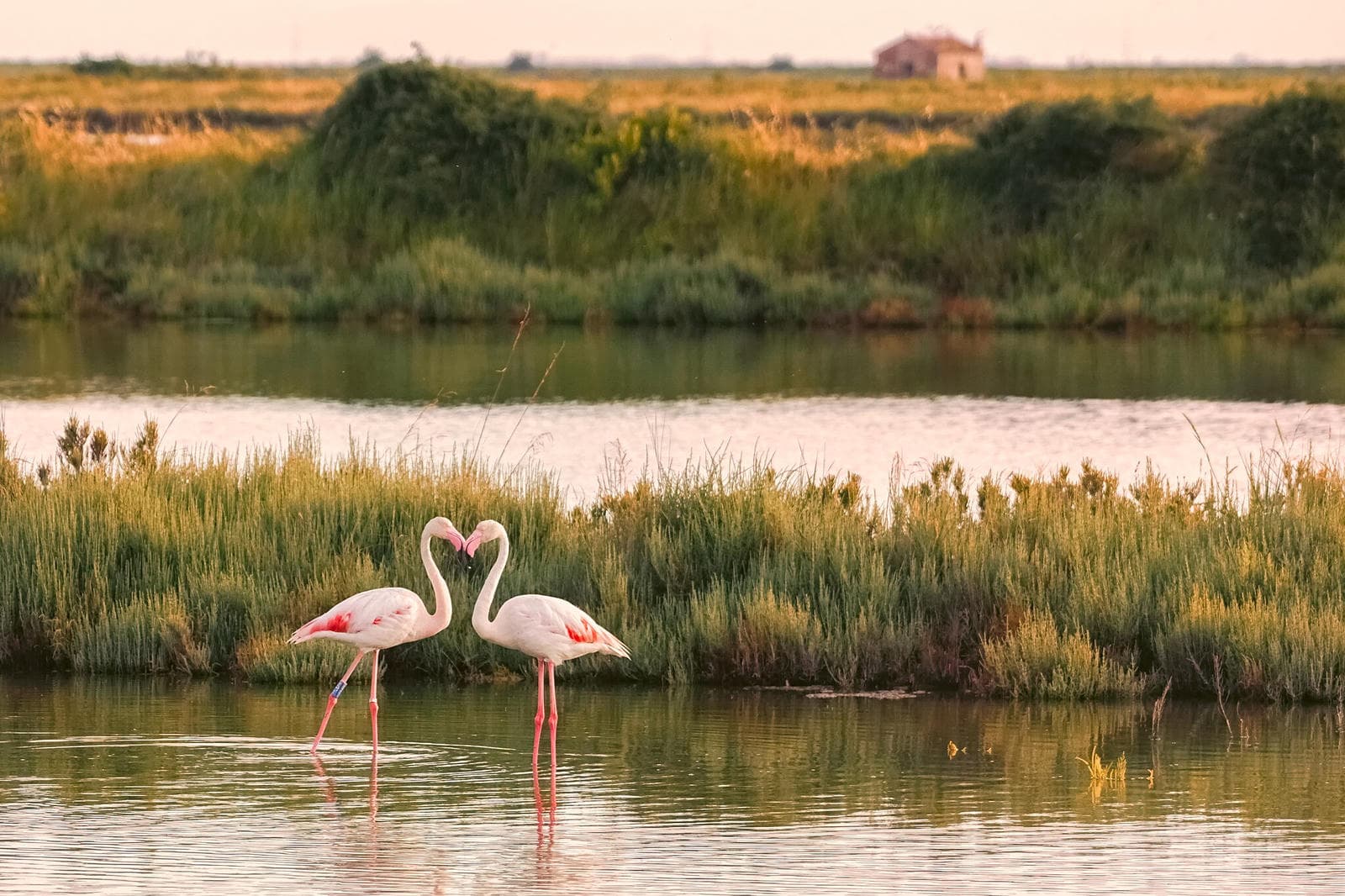 Birdwatching in Tuscany