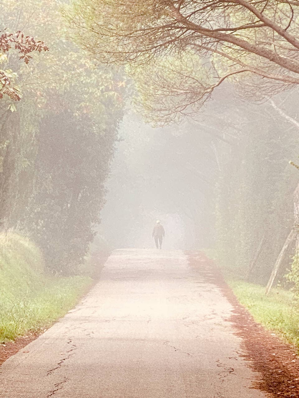 birdwathcing-in-fucecchio