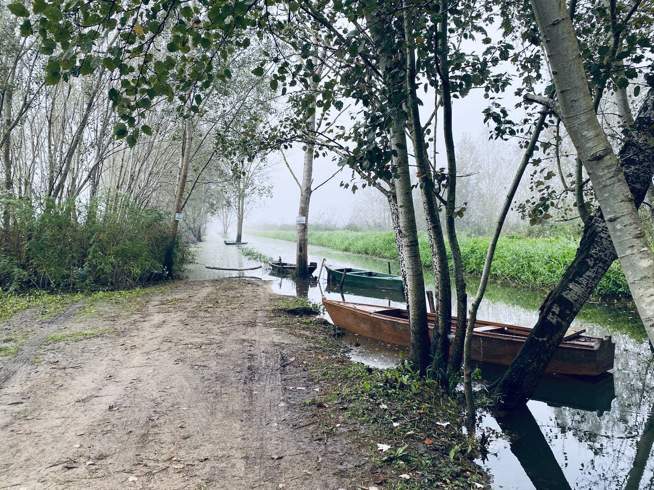 canoes-in-fuchecchio