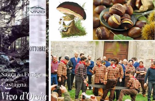 Chestnuts and mushrooms harvested on Mt. Amiata