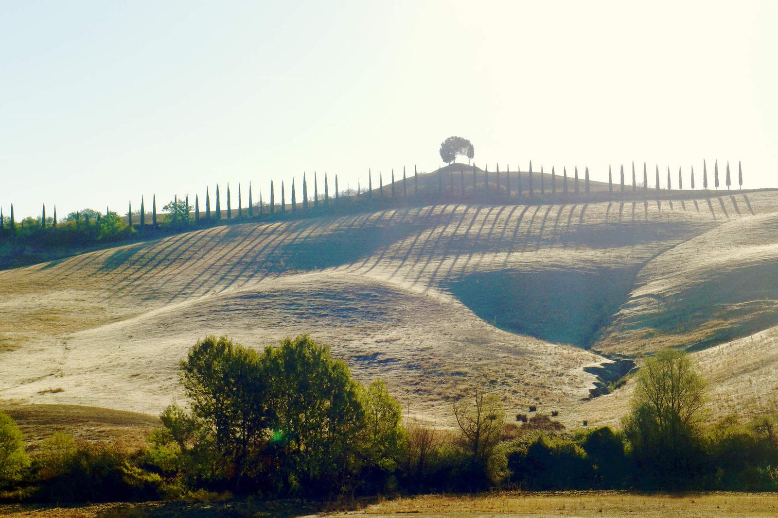Rolling hills of Valdorcia