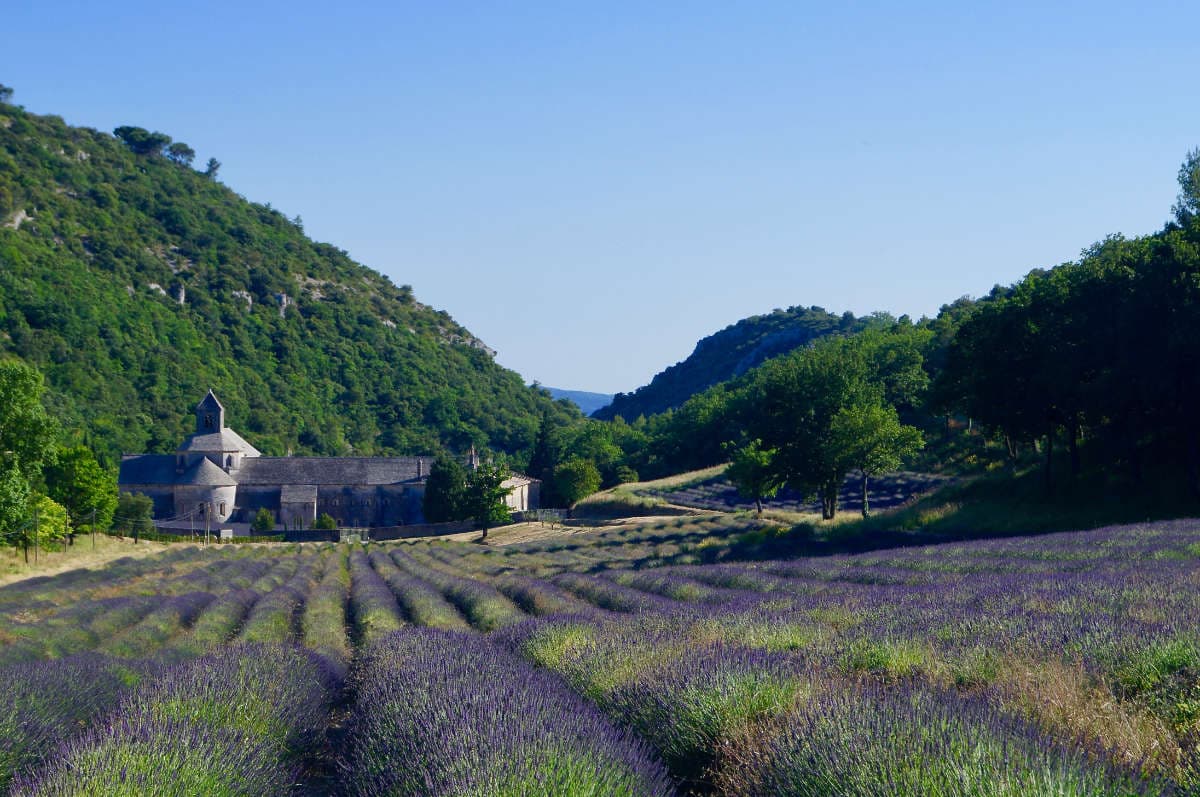 Guide to Provence