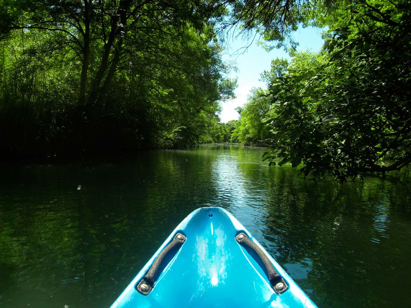 Adventurous things to do with kids in Provence