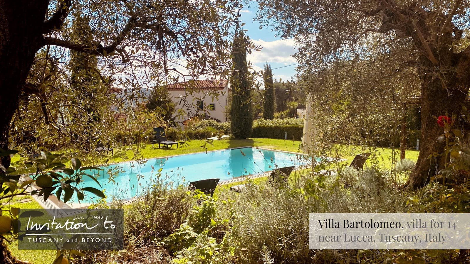 villa-bartolomeo-pool